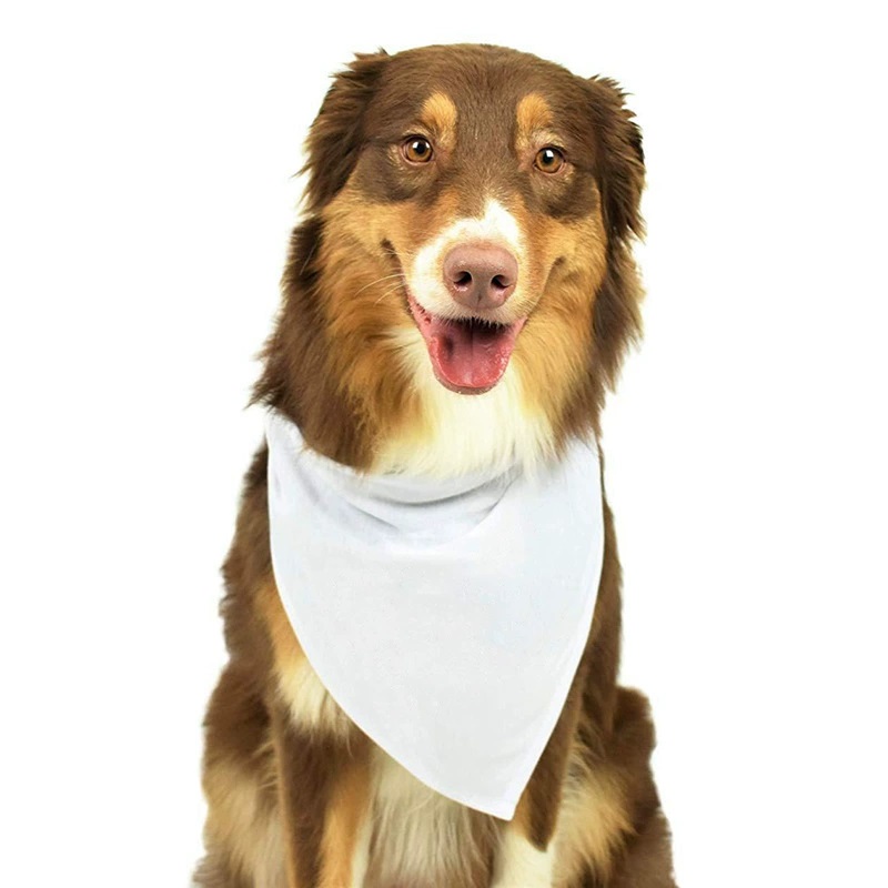 30pcs White Polyester Blank Do - Bandana Blank White recension och pris